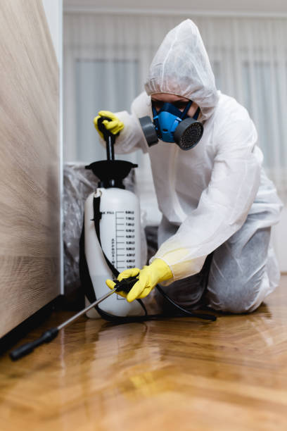 Best Pest Control for Multi-Family Homes  in Olean, NY